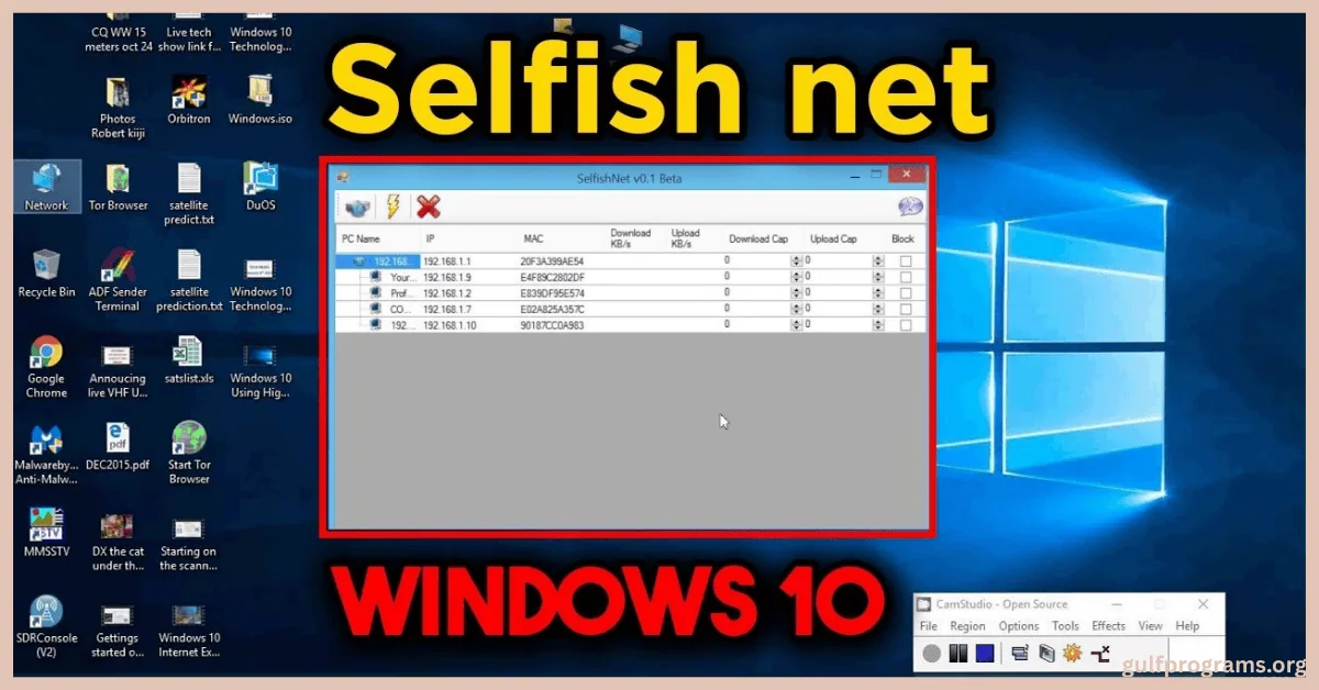 selfishnet win 10 تحميل